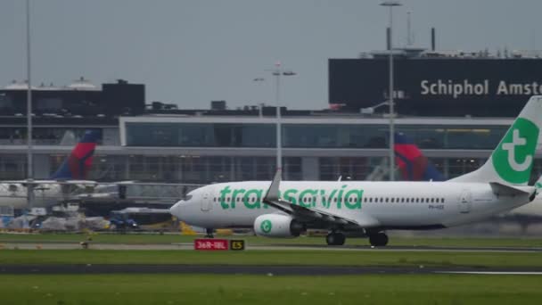 Transavia plane departure — Stok Video