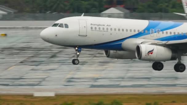 Side view, plane landing — Vídeos de Stock