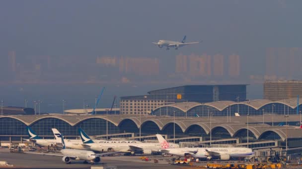 Cathay Pacific Airport landing — Stock video