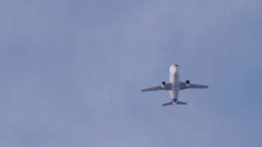 Cargo plane Beluga overhead