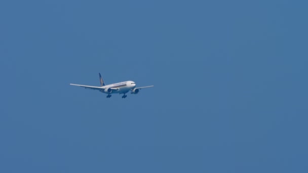 Plane Singapore Airlines flies — 비디오