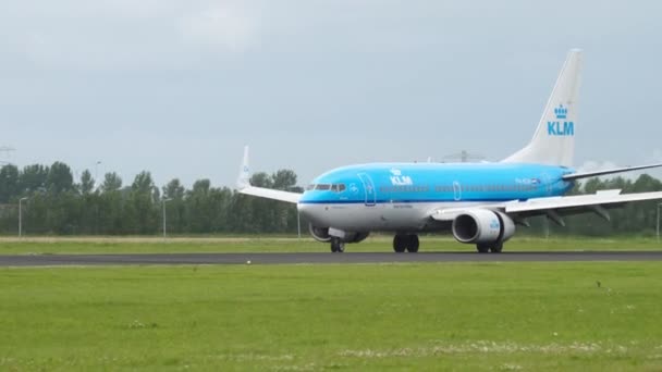KLM到着のボーイング737 — ストック動画