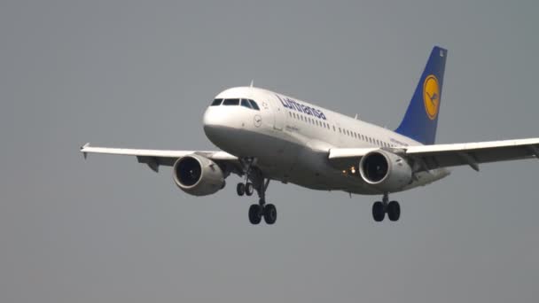 Frankfurt Main Germany July 2017 Airbus A319 Aill Lufthansa Descending — 图库视频影像