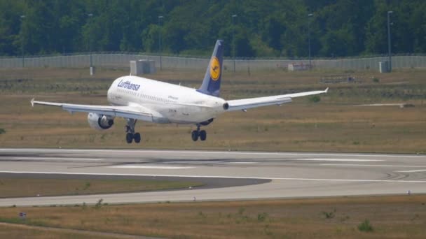 2017年7月19日 エアバスA319 114 Aillルフトハンザドイツ航空がフランクフルト空港に着陸します 観光と旅行のコンセプト 航空便 — ストック動画