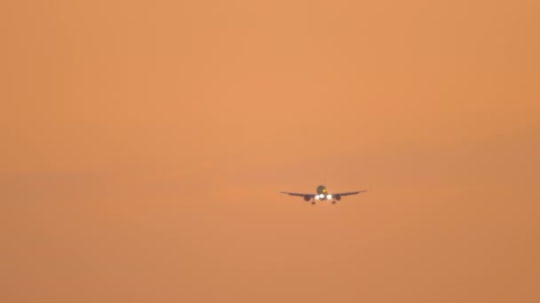 Passenger Plane Flies Backdrop Beautiful Glow Sky Long Shot Unrecognizable — Stock Video
