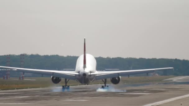 Slow Motion Shot Landing Jet Liner Rear View End Runway — Video