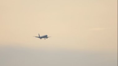 Passenger airliner flies in the twilight sky, long shot. Tourism and travel concept