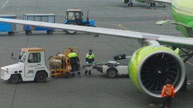 NOVOSIBIRSK, RUSSIAN FEDERATION - JULY 24, 2021: Ground crew members unloads luggage taken from green S7 Airlines airplane into dolly for loose baggage by conveyor. Real time video. Ground service