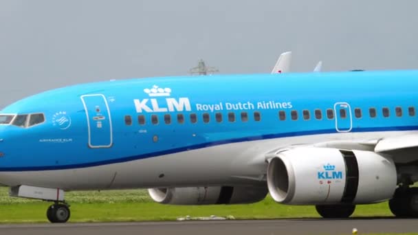 Amsterdam Netherlands Липня 2017 Боїнг 737 Klm Зльоту Аеропорту Шіпгол — стокове відео