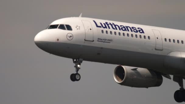 Frankfurt Main Germany July 2017 Civil Airplane Lufthansa Descending Landing — Stok video