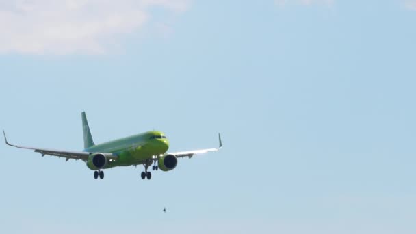 Novosibirsk Russian Federation Juny 2022 Passenger Jet Plane Airlines Landing — Vídeos de Stock