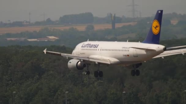 Frankfurt Main Germany July 2017 Airbus A319 Lufthansa Descending Landing — Stock video