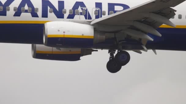 Франкфурт Майн Германия Июля 2017 Года Boeing 737 Ryanair Приземляется — стоковое видео