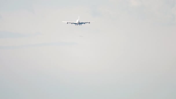 宽体无法辨认的飞机接近着陆 前视镜为远射 旅游和航空概念 — 图库视频影像
