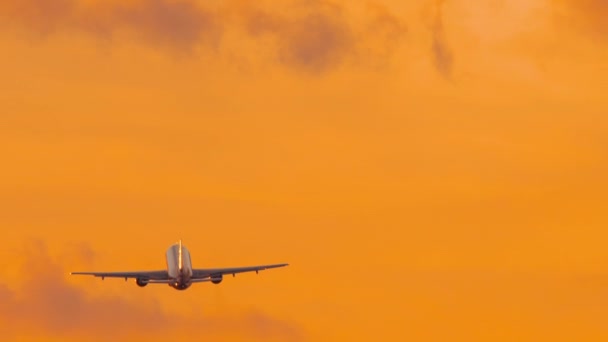 Cinematic Shot Airplane Flies Away Fiery Golden Sunset View Back — Stockvideo