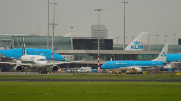 Amsterdam Κατω Χωρεσ Ιουλίου 2017 Alitalia Τροχοδρομεί Στο Αεροδρόμιο Του — Αρχείο Βίντεο