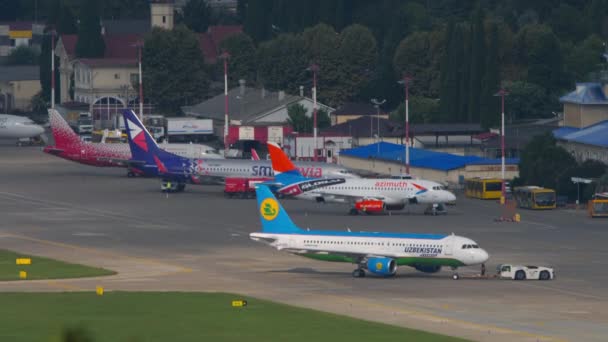 Sochi Russia July 2022 Tractor Towing Airbus A320 Uzbekistan Express — Wideo stockowe