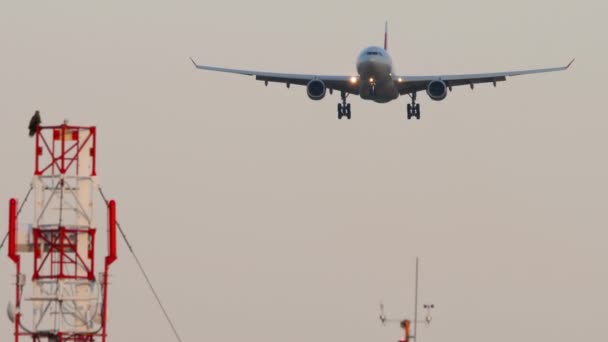 Passenger Plane Approaching Landing Sunset Slow Motion Jet Aircraft Undercarriage — Wideo stockowe