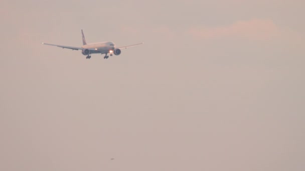 Sochi Russia July 2022 Boeing 777 Aeroflot Approaching Landing Sunset — Vídeo de stock