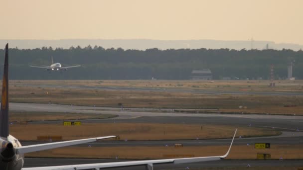Frankfurt Main Germany July 2017 Passenger Aircraft Lufthansa Taxiing Airfield — Stockvideo