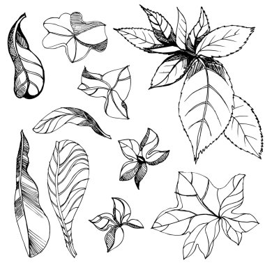 çiçek tasarım öğeleri