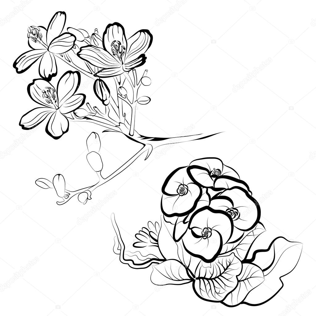 Vector flowers in sketch style