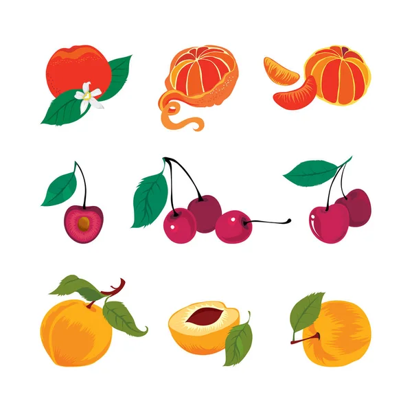 Fresh fruits set — Stock Vector