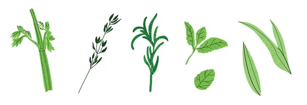 Набор зеленых иллюстраций — стоковый вектор