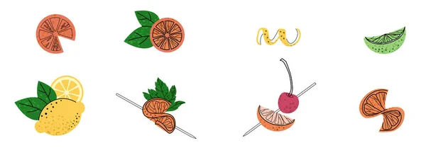 Set of fruit illustration. Cocktail garnish. — Stock Vector