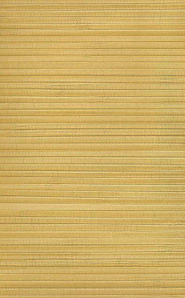 Texture de mur de bambou — Photo