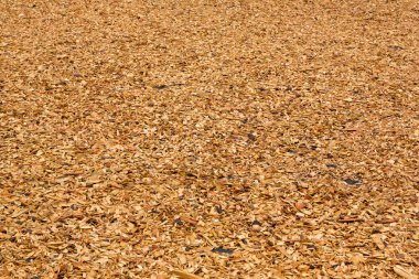 ahşap fiş tarafından strewed çim