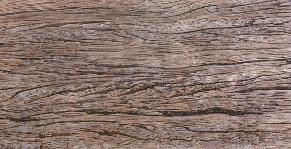 Textura de madera vieja — Foto de Stock