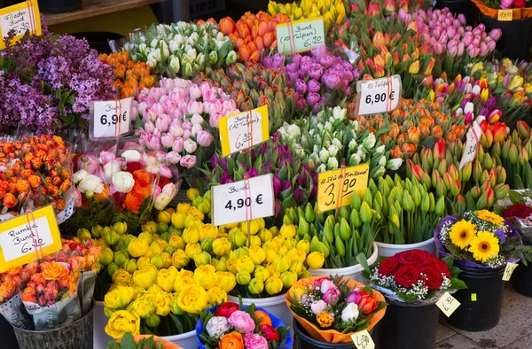 Sale of blooming tulips at the street market Royalty Free Stock Images