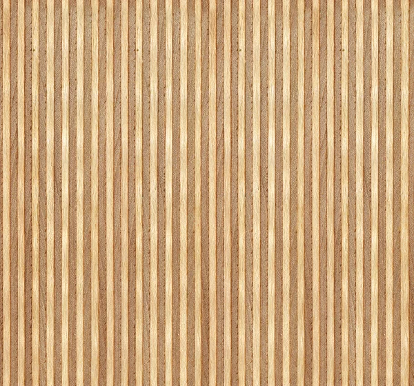 Birch wood section texture — Stock Photo, Image