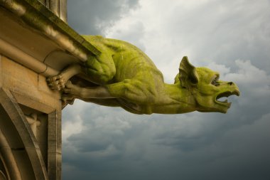 Gargoyle üzerinde ulm munster Kilisesi
