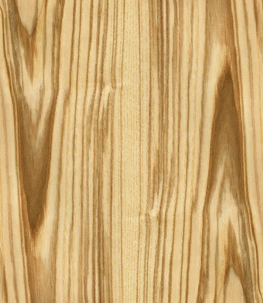 Textúra-Kőris fa — Stock Fotó