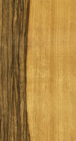 Textuur van limba boom — Stockfoto
