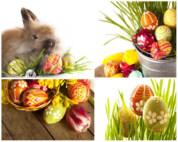 Happy Easter - baby rabbits and easter eggs — Stock Photo, Image