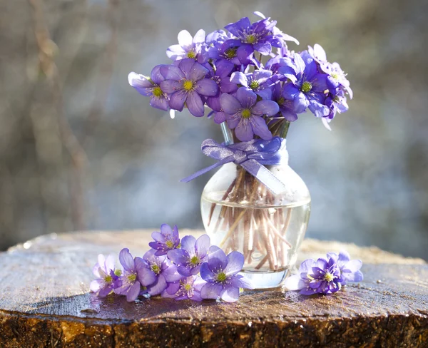 Bouquet — Stock Photo, Image