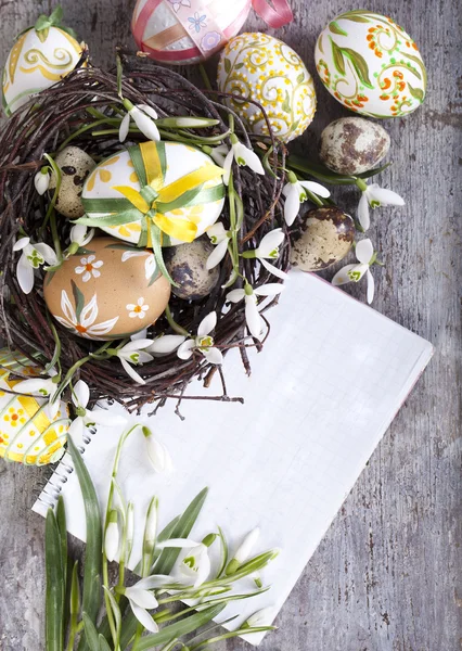 Ovos de Páscoa e flor — Fotografia de Stock