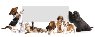 Cats and dogs holding a cork banner clipart