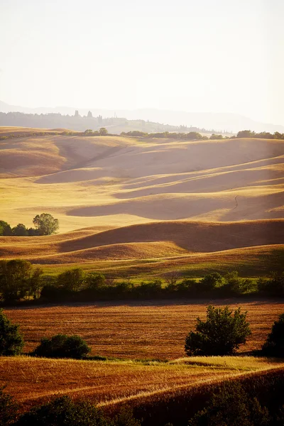 Paisagem na Toscana ao pôr do sol no verão — Fotografia de Stock