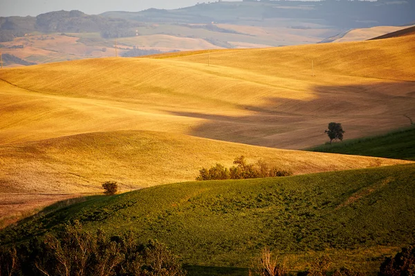 Blick auf die Landschaft der Toskana — Stockfoto