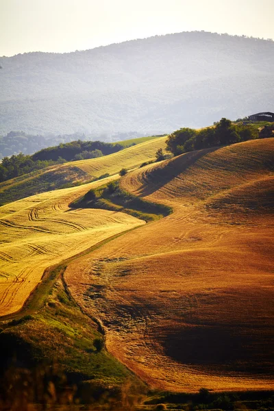 Blick auf die Landschaft der Toskana — Stockfoto