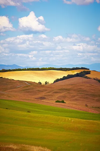 Paisaje en Toscana con casa de campo típica en una colina en Val d 'Orc —  Fotos de Stock