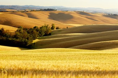 Tuscany yatay, Val d'Orc bir tepe üzerinde tipik çiftlik