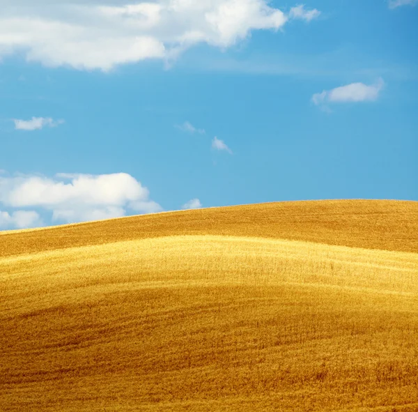 Hügel der Toskana — Stockfoto