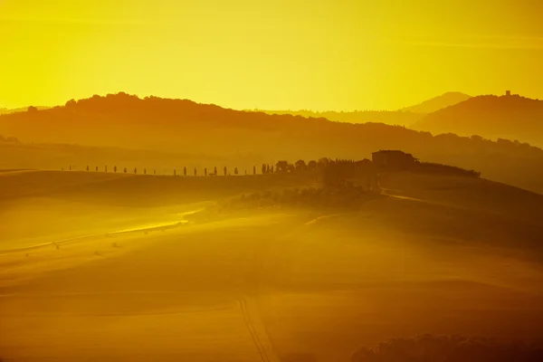 Vista del paisaje típico de Toscana — Foto de Stock