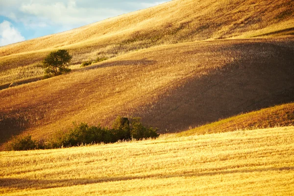 Vista da paisagem típica da Toscana — Fotografia de Stock