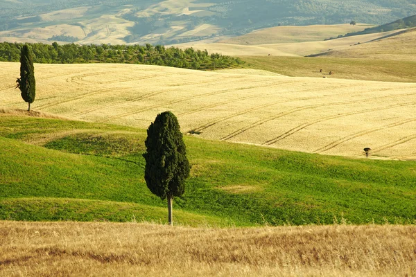 Vista da paisagem típica da Toscana — Fotografia de Stock